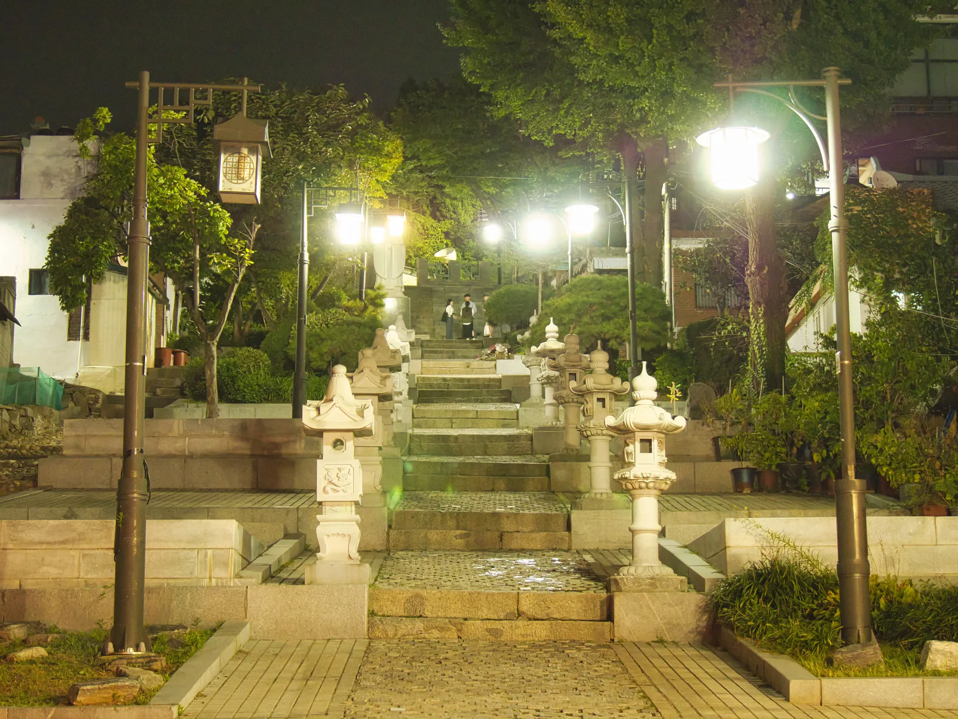 P1004197.jpg