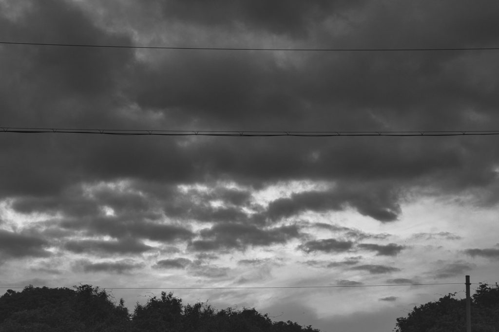 花の写真
<p>NIKON D5500 TAMRON 18-200mm Journey" class="wp-image-678"/></figure></p>
<!-- /wp:image -->
<!-- wp:paragraph -->
<p>And then, as the day gracefully transitions to dusk, the world undergoes a transformation. The sky becomes a canvas painted with shades of orange and pink, and the city lights begin to twinkle like stars on Earth. Even the most ordinary scenes, like a bustling street corner or a couple holding hands, take on an otherworldly charm under the spell of twilight.</p>
<!-- /wp:paragraph -->
<!-- wp:paragraph -->
<p></p>
<!-- /wp:paragraph -->
<!-- wp:image {