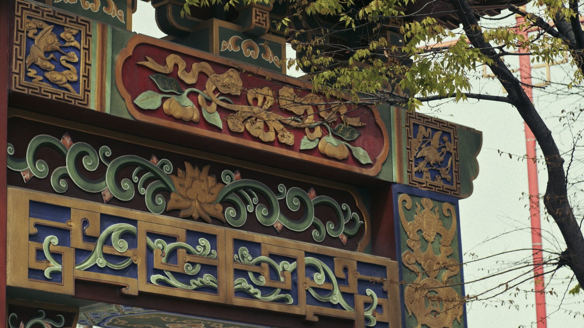 Panasonic G95D + TTartisan 50mm 3