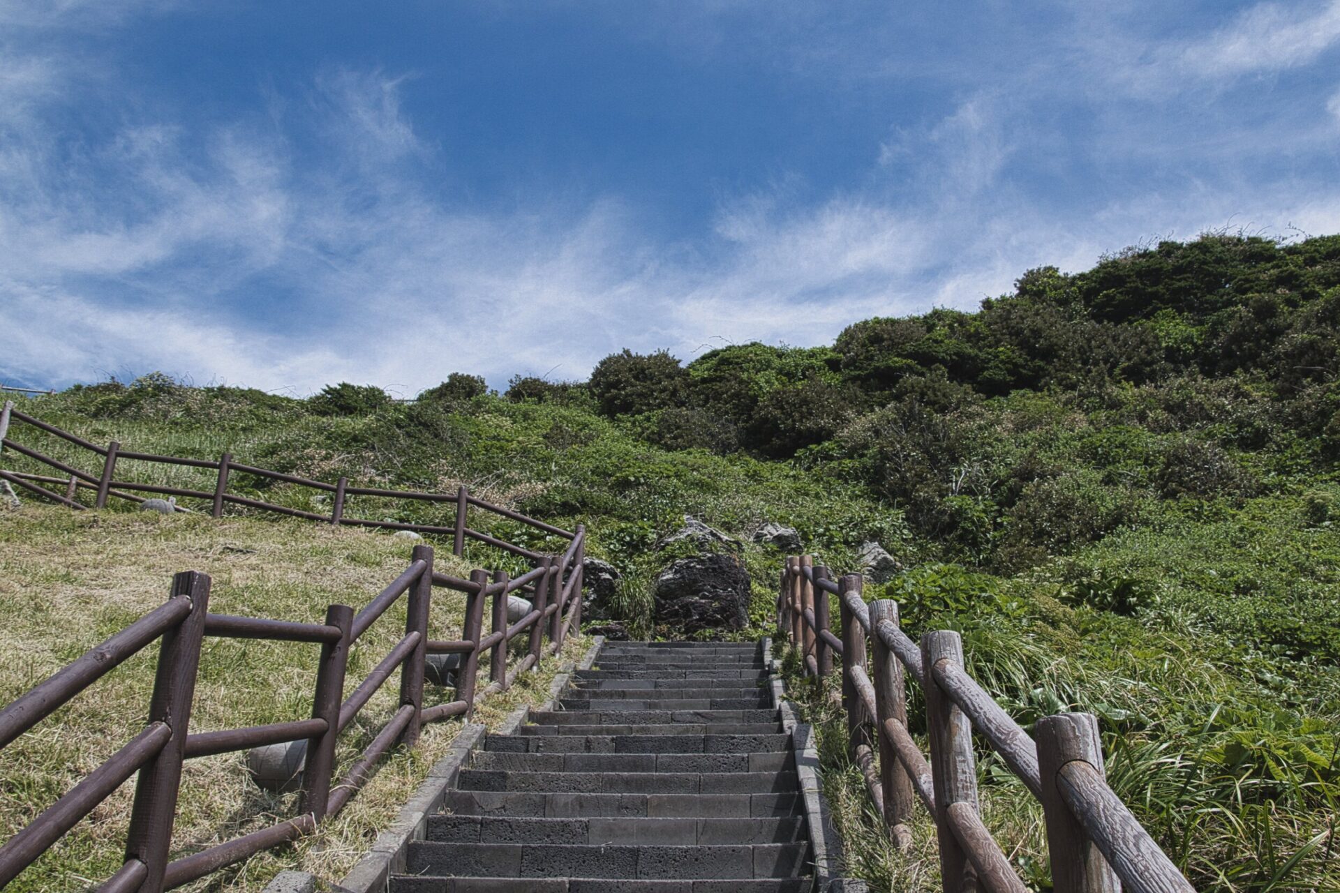 [NIKON D5500 / TAMRON 18-200mm]제주도에서 힐링 여행을 즐겨보세요 - 지금 출발 해보세요