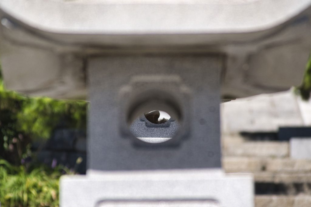 日常照片