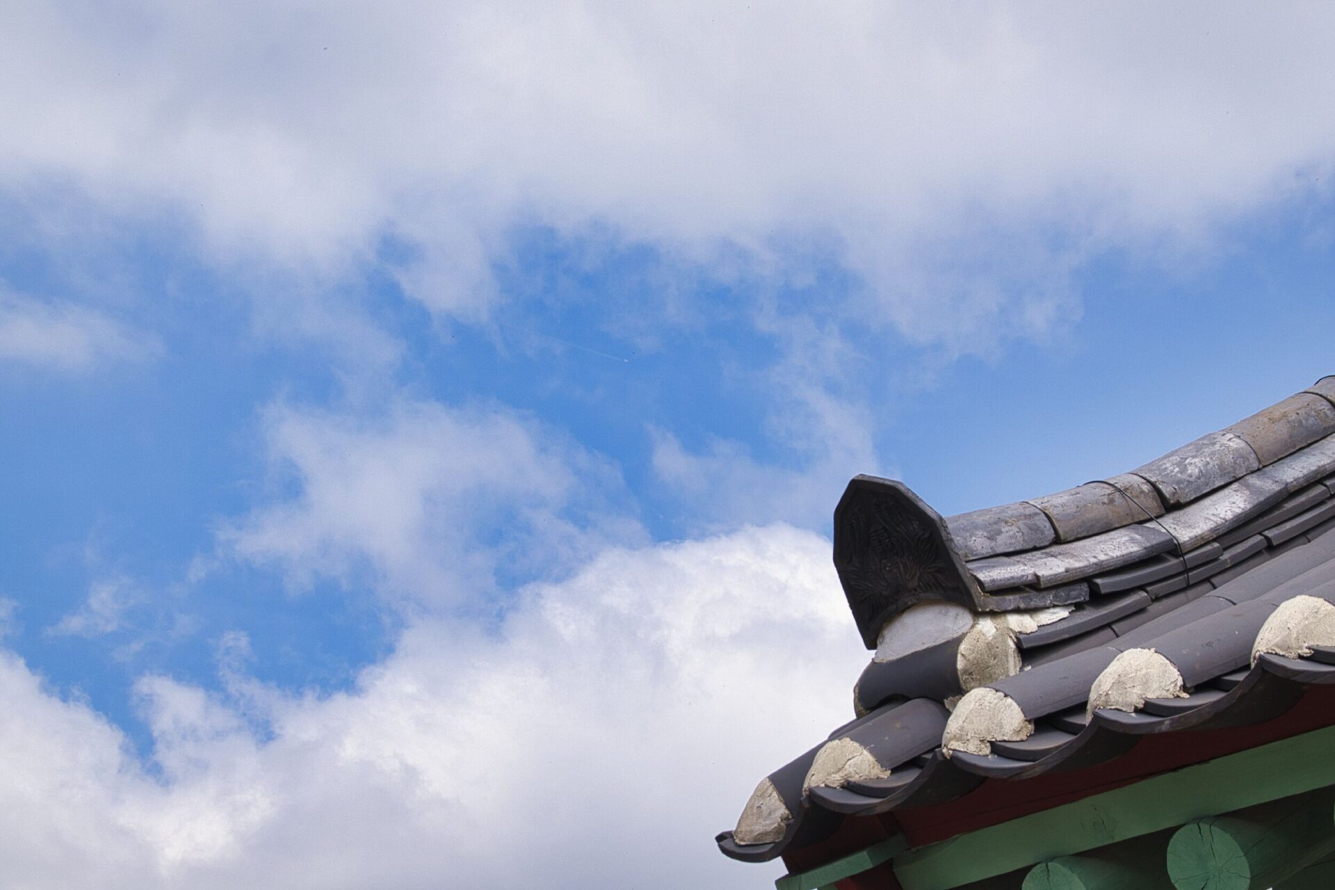 [NIKON D5500 / TAMRON 18-200mm] Everyday Frames: Hành Trình Tầm Nhìn Hình Ảnh