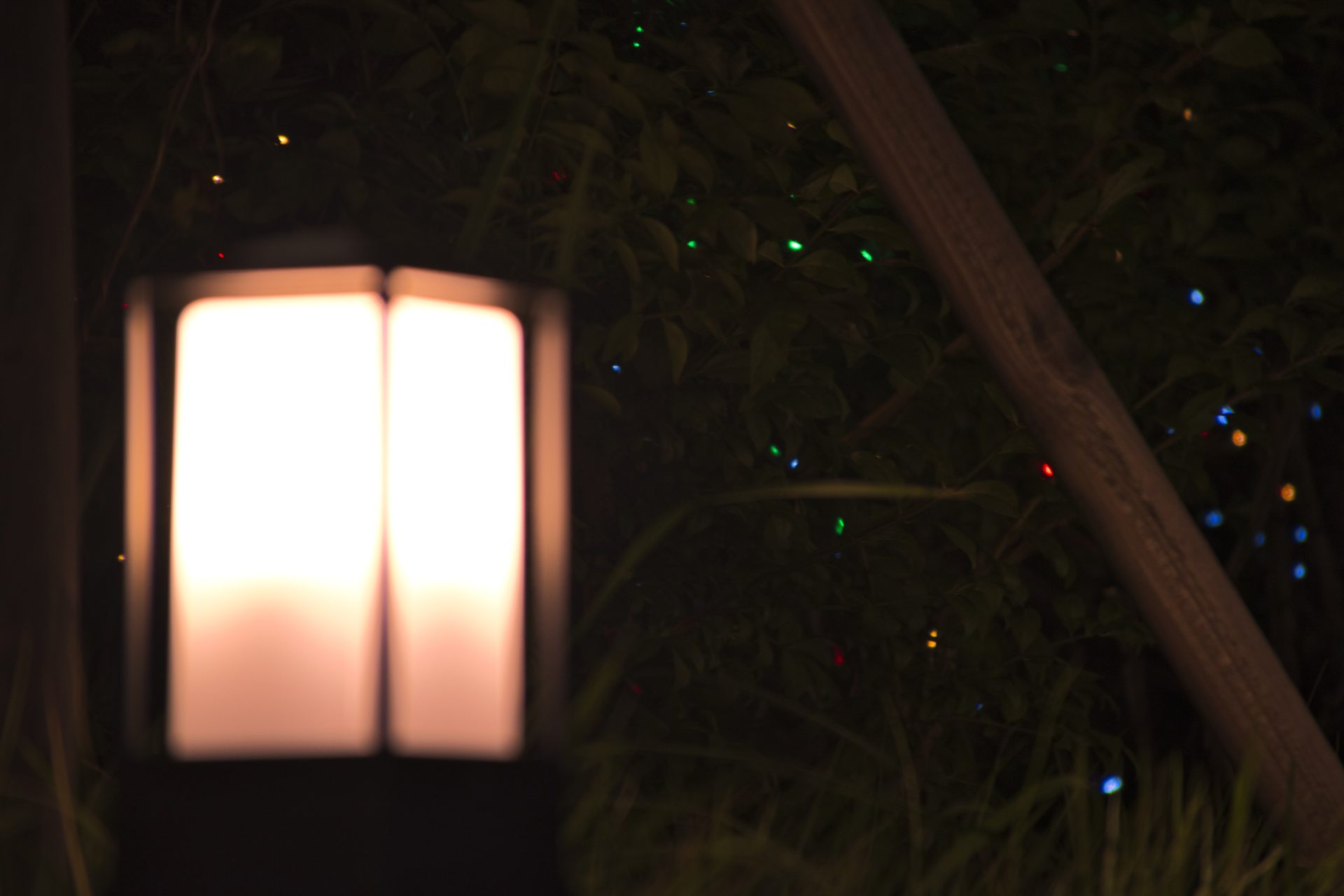 [NIKON D5500] 日常照片 29