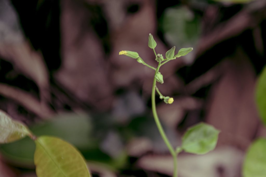 Cuộc sống qua những bức hình
<p>NIKON D5500 / TAMRON 18-200mm" class="wp-image-629"/></figure></p>
<!-- /wp:image -->
<!-- wp:paragraph -->
<p>Khung kỷ niệm: </p>
<!-- /wp:paragraph -->
<!-- wp:paragraph -->
<p>Hình ảnh có khả năng phi thường để lưu giữ kỷ niệm và cảm xúc. Phần đầu của 
