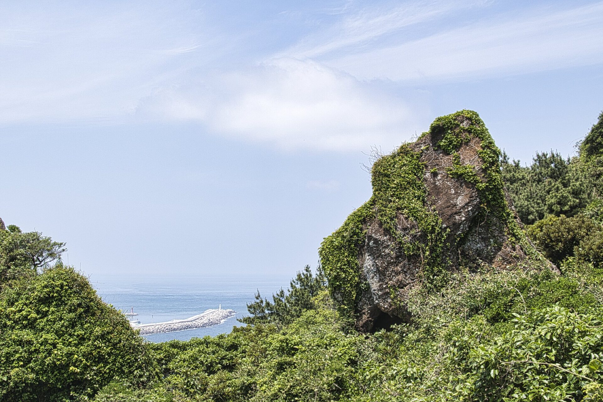 [NIKON D5500 / TAMRON 18-200mm] 拥抱济州岛治愈之旅 - 立即开始您的冒险之旅