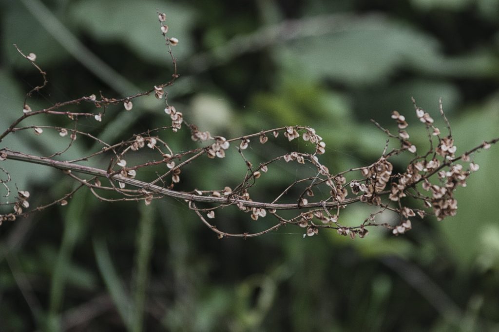 Cuộc sống qua những bức hình
<p>NIKON D5500 / TAMRON 18-200mm" class="wp-image-636"/></figure></p>
<!-- /wp:image -->
<!-- wp:paragraph -->
<p>