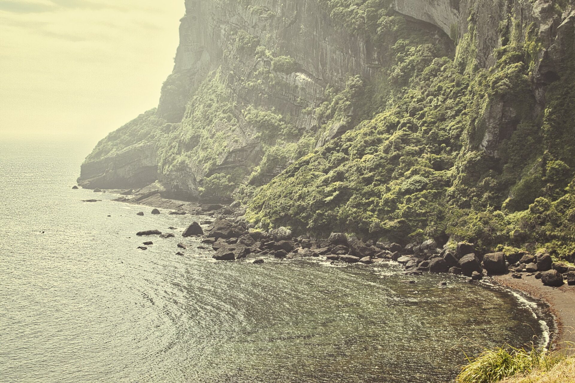 [NIKON D5500 / TAMRON 18-200mm] Embrace Healing Travel on Jeju Island - Start Your Adventure Now