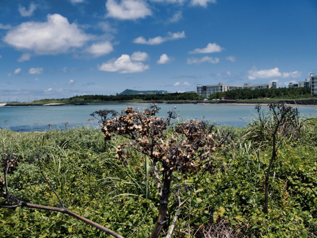 Jeju nature escape
<p>PANASONIC LUMIX G95D_G99D" class="wp-image-1167"/></figure></p>
<!-- /wp:image -->
<!-- wp:heading {