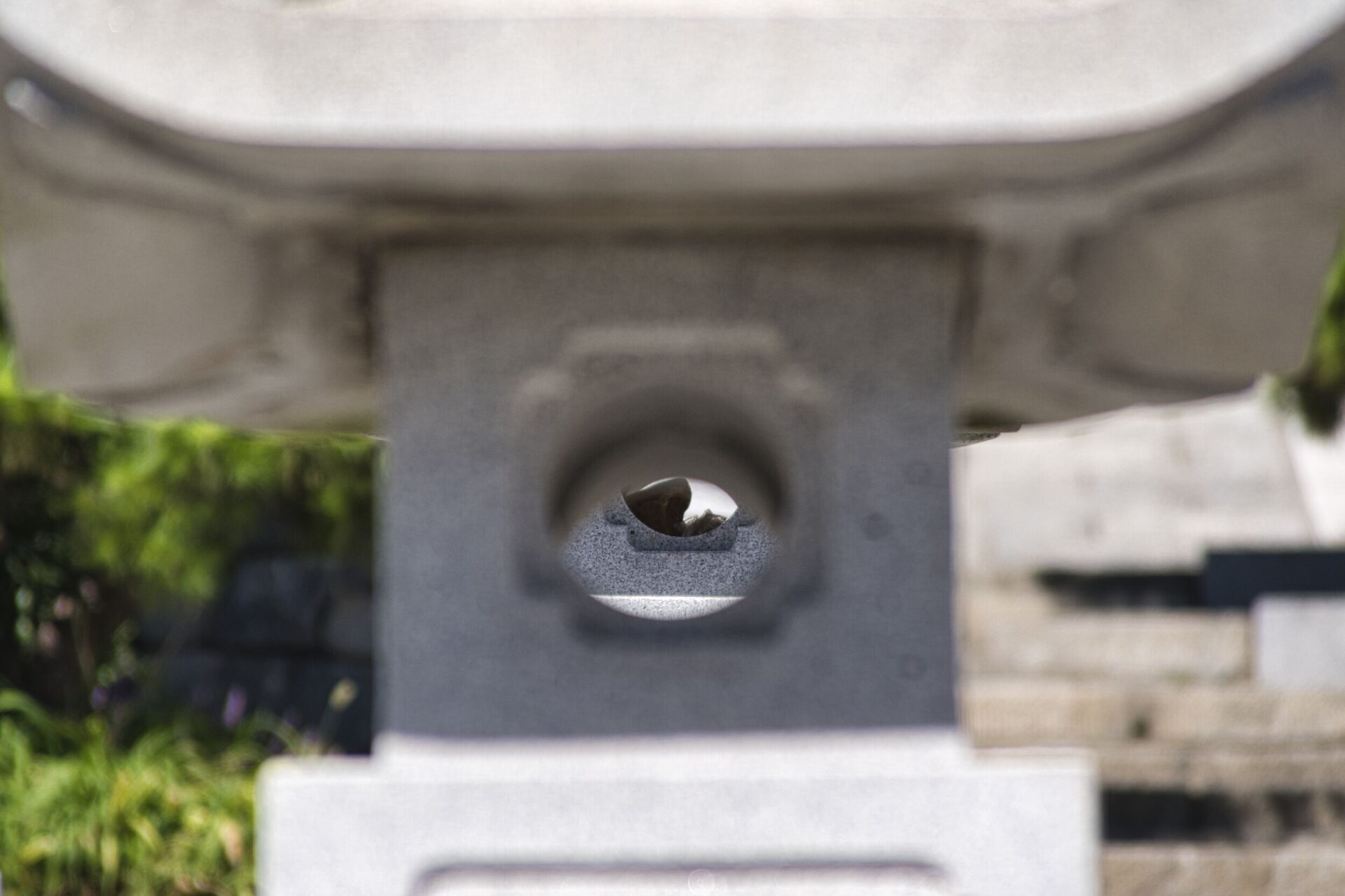 [NIKON D5500 / TAMRON 18-200mm] 日常照片 17