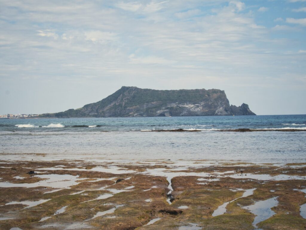 Landscape photo
<p>PANASONIC LUMIX G95D_G99D" class="wp-image-1204"/></figure></p>
<!-- /wp:image -->
<!-- wp:paragraph -->
<p>済州島の隠れた美しさを発見してください。すべての庭園には語られるのを待っている物語があります。</p>
<!-- /wp:paragraph -->
<!-- wp:paragraph -->
<p>これらの魅惑的なスポットで撮影した私のお気に入りのスナップショットをギャラリーでぜひご覧ください。どの写真も、見逃したくない静けさと自然の美しさの瞬間を捉えています。</p>
<!-- /wp:paragraph -->
</div>
        </article>

        <!-- Related Content Section -->
        <!--[if BLOCK]><![endif]-->            <div class=