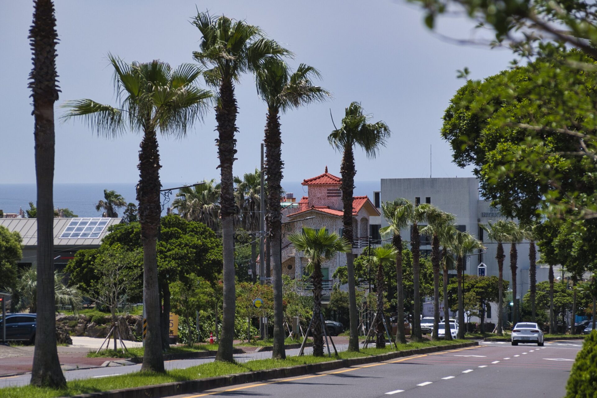 [NIKON D5500 / TAMRON 18-200mm] Khám phá đảo Jeju: Hành trình thỏa sức sáng tạo