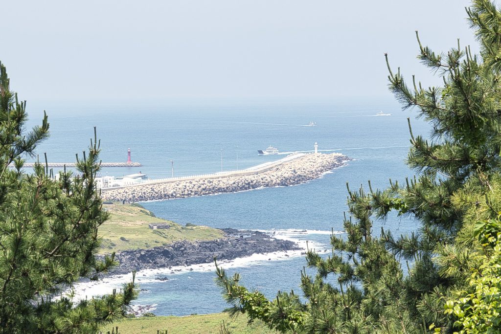 NIKON D5500 TAMRON 18-200mm 済州島