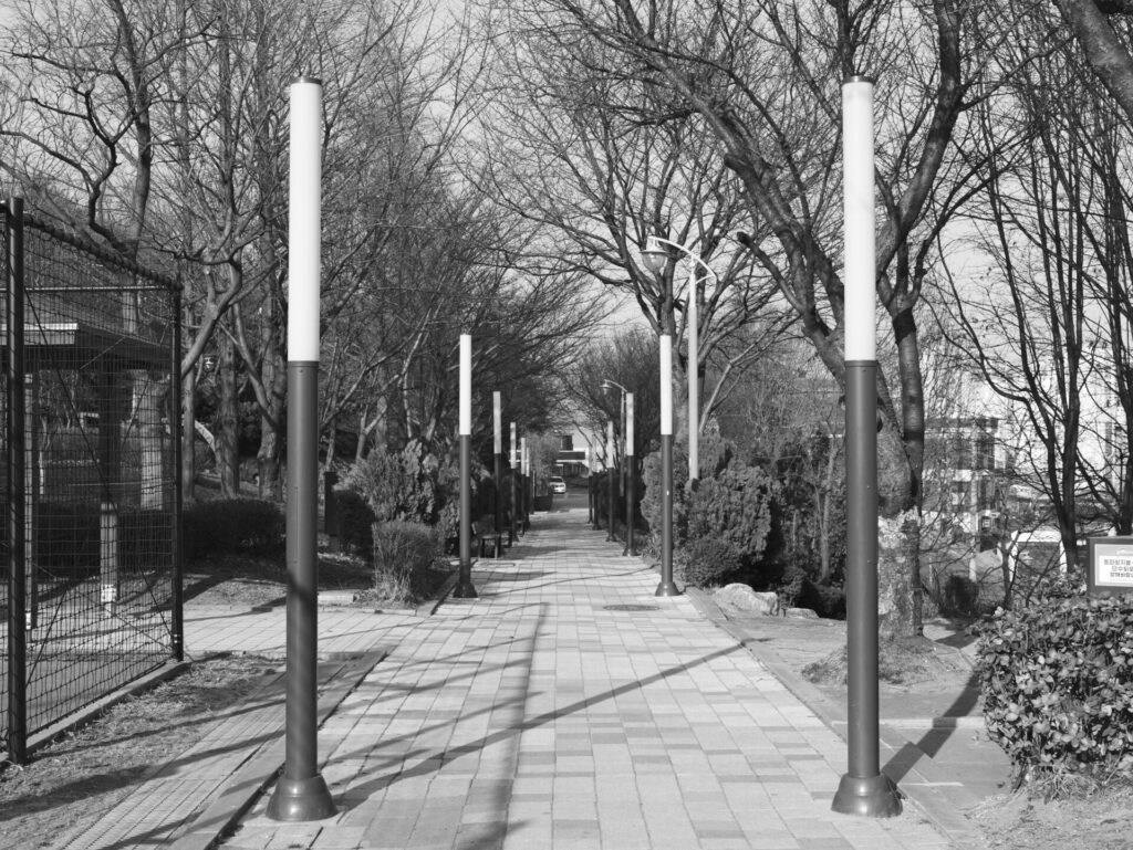 인천 솔빛공원의 겨울 산책로 풍경. 키 큰 가로등이 양쪽으로 늘어서 있고, 잎이 떨어진 나무들이 고요한 분위기를 자아낸다. 왼쪽에는 검은 철제 펜스와 정돈된 관목이 이어지고, 오른쪽에는 ‘출입금지’ 표지판이 보이는 조경 공간이 자리잡고 있다. 길은 멀리까지 이어지며 대칭적인 구도가 안정감을 주고, 도시 속의 조용한 휴식처를 연상케 한다.