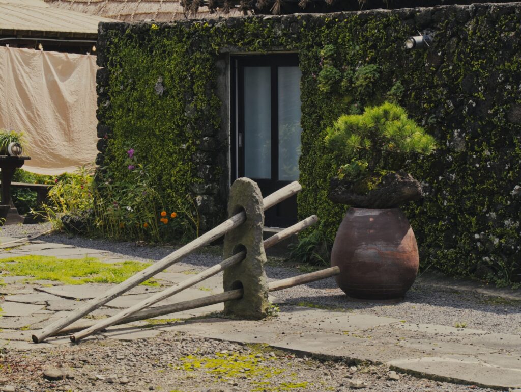 제주도 가옥의 입구 풍경. 이끼나 덩굴 식물이 벽면을 덮은 돌담과 고풍스러운 나무·석재 구조물이 어우러져 제주의 생활 흔적을 느끼게 한다. 항아리에 심어진 소나무와 주변의 꽃들이 자연스러운 멋을 더하며, 현대식 문과 조화를 이루는 공간이 과거와 현재를 연결한다.