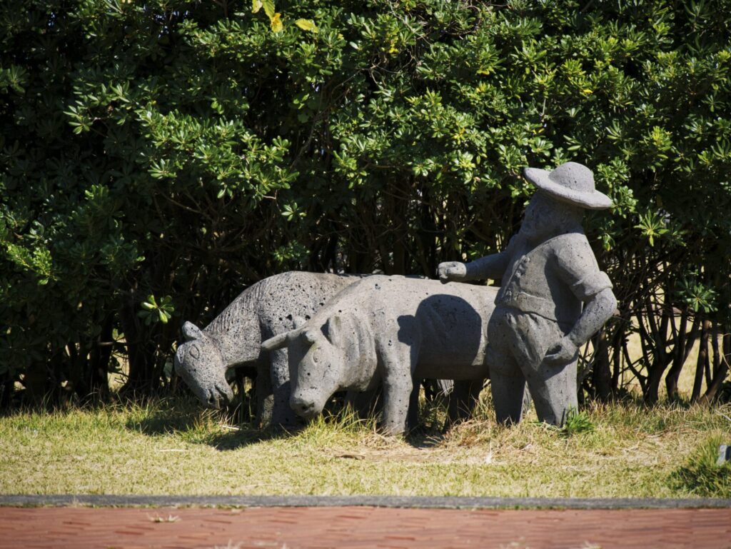 제주도에서 촬영한 전통 농경 조형물. 넓은 챙 모자를 쓴 인물이 두 마리 소와 함께 서 있는 모습으로, 제주도의 목가적인 삶과 농업 문화를 표현하고 있다. 조형물은 잔디밭 위에 배치되어 있으며, 배경의 푸른 수풀과 어우러져 자연 속에 녹아든 듯한 분위기를 자아낸다.