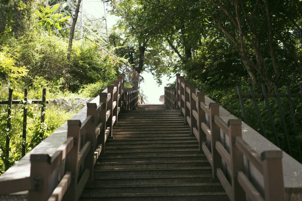 인천 자유공원의 나무 계단. 울창한 나무 사이로 햇살이 비추며, 위쪽으로 이어지는 길이 고요하고 평화로운 분위기를 자아냄.